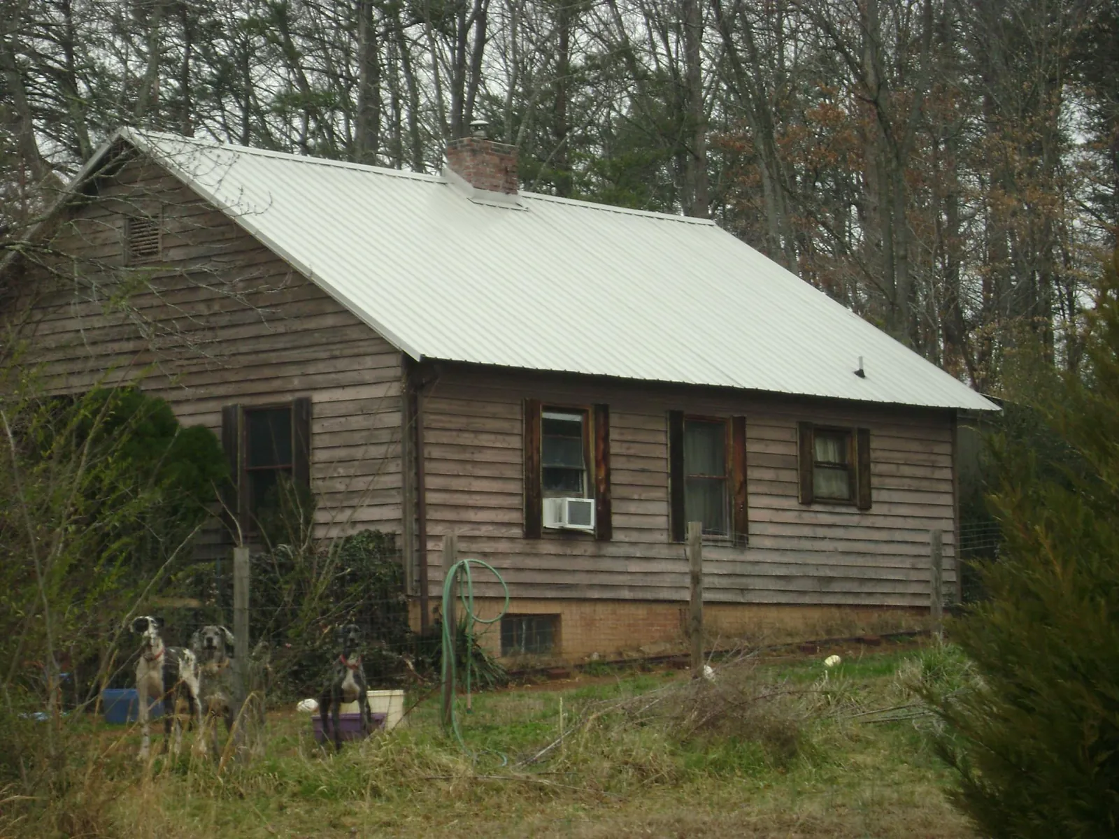 White metal roof on an old wood sided farmhouse, from a Asphalt Shingle Roof Repair job in Harvey